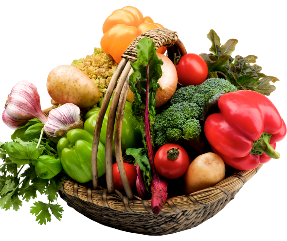 untitled (800 x 650 px) (15)