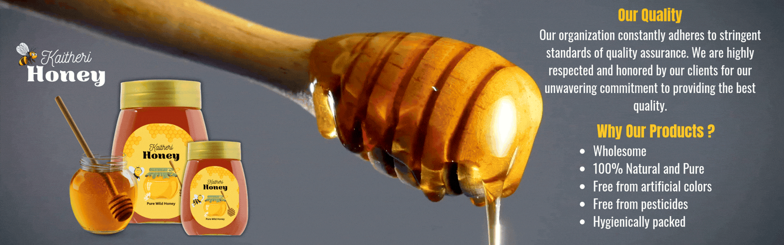 coco leaf (1600 x 500 px) (1)