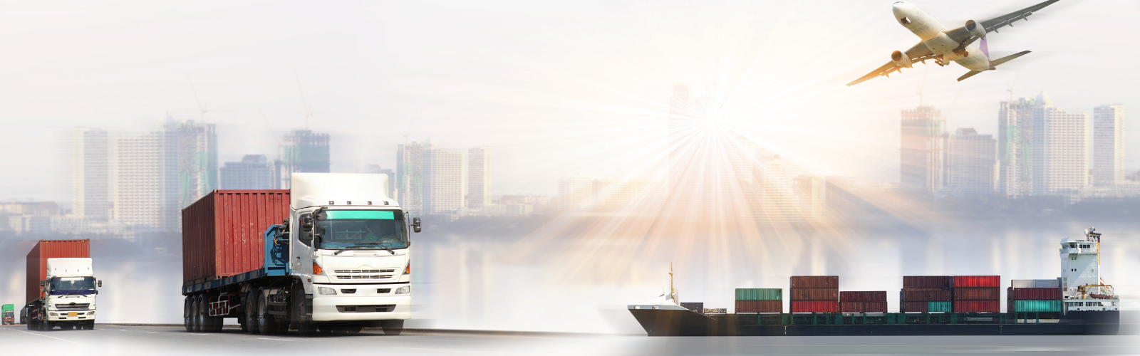 coco leaf (1600 x 500 px) (2)