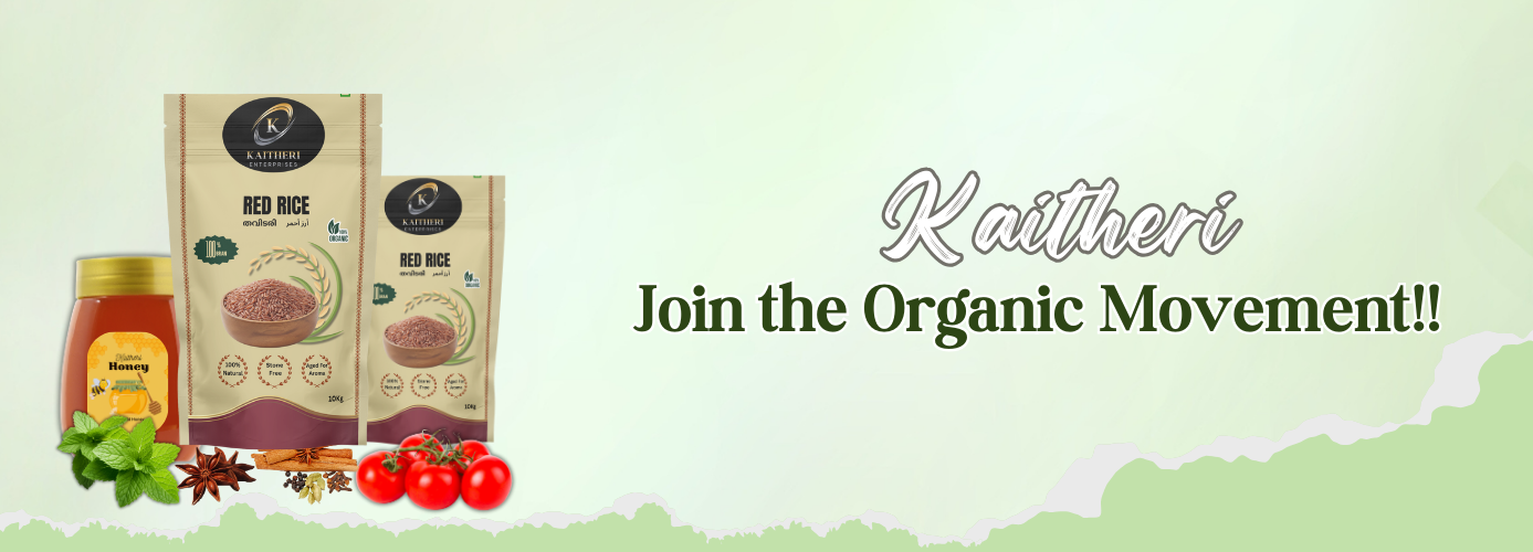 coco leaf (1600 x 500 px) (5)